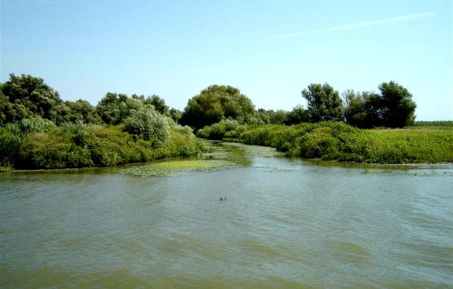 delta - dsc00359.jpg